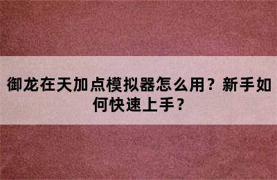 御龙在天加点模拟器怎么用？新手如何快速上手？