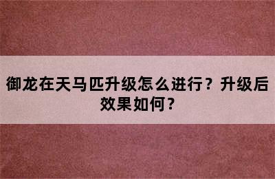 御龙在天马匹升级怎么进行？升级后效果如何？