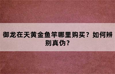 御龙在天黄金鱼竿哪里购买？如何辨别真伪？