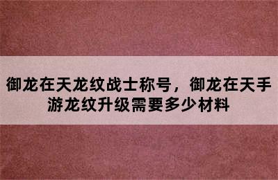 御龙在天龙纹战士称号，御龙在天手游龙纹升级需要多少材料