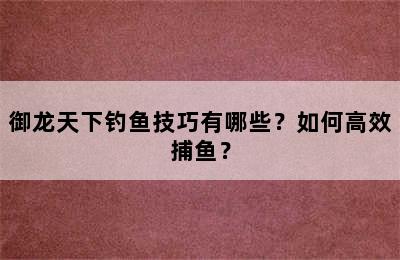 御龙天下钓鱼技巧有哪些？如何高效捕鱼？