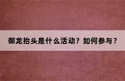 御龙抬头是什么活动？如何参与？