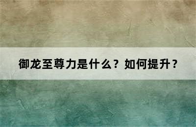 御龙至尊力是什么？如何提升？