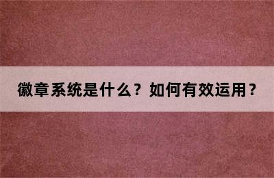 徽章系统是什么？如何有效运用？