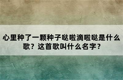 心里种了一颗种子哒啦滴啦哒是什么歌？这首歌叫什么名字？