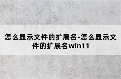 怎么显示文件的扩展名-怎么显示文件的扩展名win11