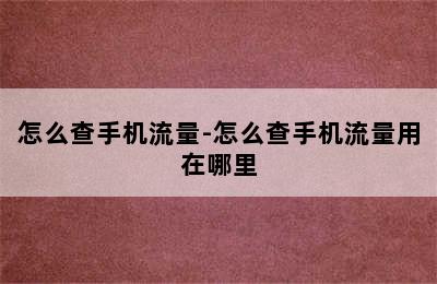 怎么查手机流量-怎么查手机流量用在哪里