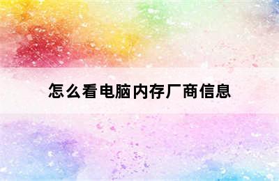 怎么看电脑内存厂商信息