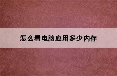 怎么看电脑应用多少内存