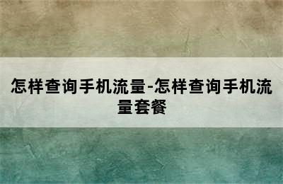 怎样查询手机流量-怎样查询手机流量套餐