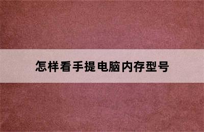 怎样看手提电脑内存型号