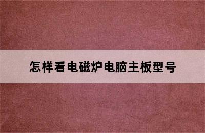 怎样看电磁炉电脑主板型号