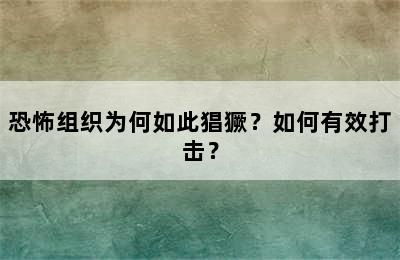 恐怖组织为何如此猖獗？如何有效打击？