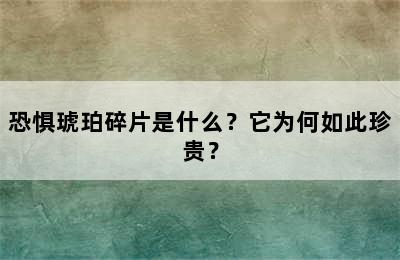 恐惧琥珀碎片是什么？它为何如此珍贵？