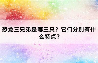 恐龙三兄弟是哪三只？它们分别有什么特点？