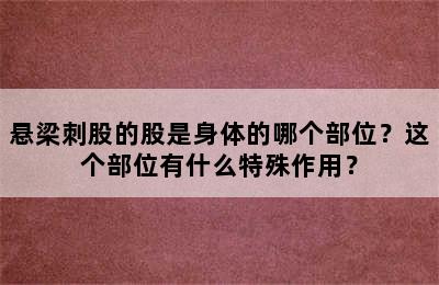 悬梁刺股的股是身体的哪个部位？这个部位有什么特殊作用？