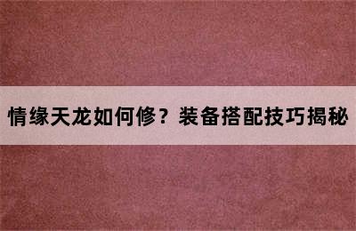 情缘天龙如何修？装备搭配技巧揭秘