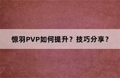 惊羽PVP如何提升？技巧分享？