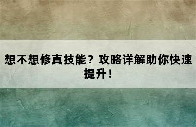 想不想修真技能？攻略详解助你快速提升！