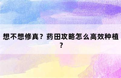 想不想修真？药田攻略怎么高效种植？