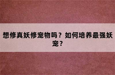 想修真妖修宠物吗？如何培养最强妖宠？