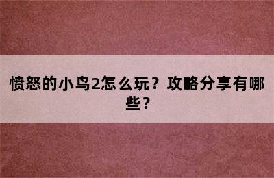 愤怒的小鸟2怎么玩？攻略分享有哪些？