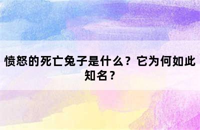 愤怒的死亡兔子是什么？它为何如此知名？