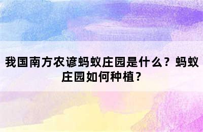 我国南方农谚蚂蚁庄园是什么？蚂蚁庄园如何种植？