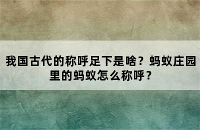 我国古代的称呼足下是啥？蚂蚁庄园里的蚂蚁怎么称呼？