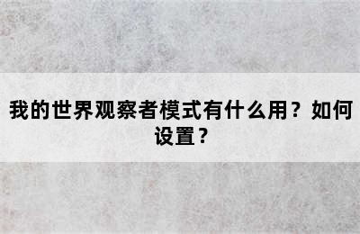 我的世界观察者模式有什么用？如何设置？