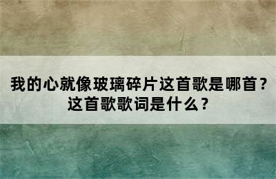 我的心就像玻璃碎片这首歌是哪首？这首歌歌词是什么？