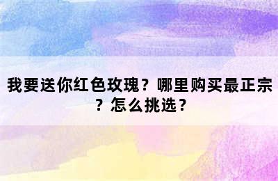 我要送你红色玫瑰？哪里购买最正宗？怎么挑选？