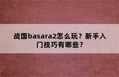 战国basara2怎么玩？新手入门技巧有哪些？