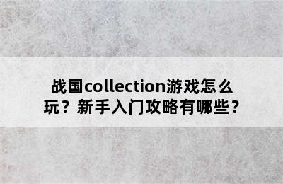 战国collection游戏怎么玩？新手入门攻略有哪些？