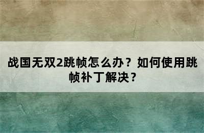 战国无双2跳帧怎么办？如何使用跳帧补丁解决？