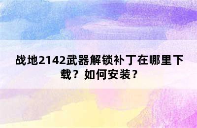 战地2142武器解锁补丁在哪里下载？如何安装？