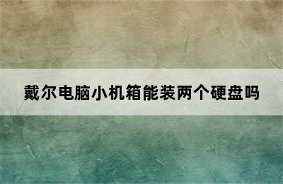 戴尔电脑小机箱能装两个硬盘吗