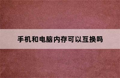 手机和电脑内存可以互换吗