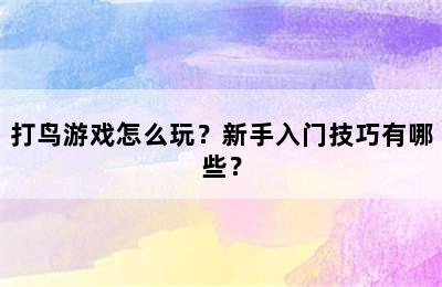 打鸟游戏怎么玩？新手入门技巧有哪些？