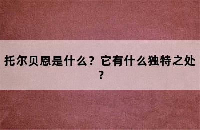 托尔贝恩是什么？它有什么独特之处？