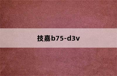技嘉b75-d3v
