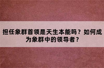 担任象群首领是天生本能吗？如何成为象群中的领导者？