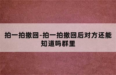 拍一拍撤回-拍一拍撤回后对方还能知道吗群里