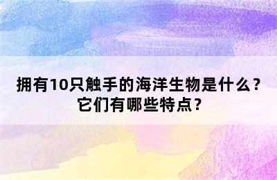 拥有10只触手的海洋生物是什么？它们有哪些特点？