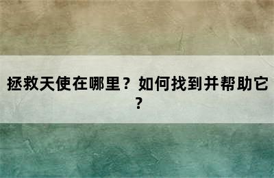 拯救天使在哪里？如何找到并帮助它？