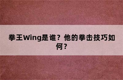 拳王Wing是谁？他的拳击技巧如何？