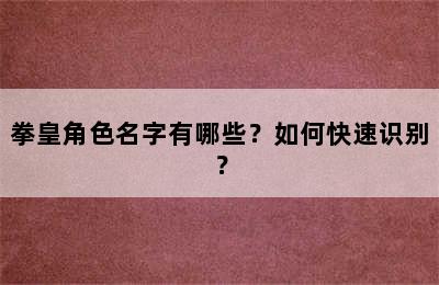 拳皇角色名字有哪些？如何快速识别？