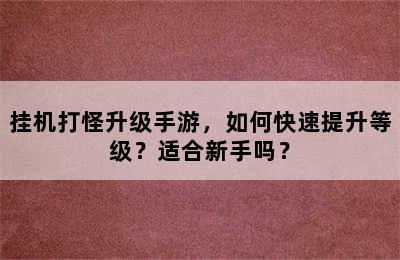 挂机打怪升级手游，如何快速提升等级？适合新手吗？