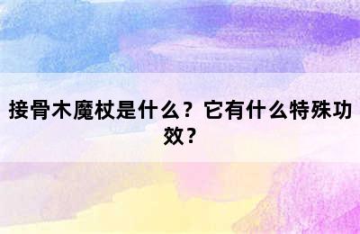 接骨木魔杖是什么？它有什么特殊功效？