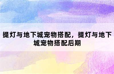 提灯与地下城宠物搭配，提灯与地下城宠物搭配后期